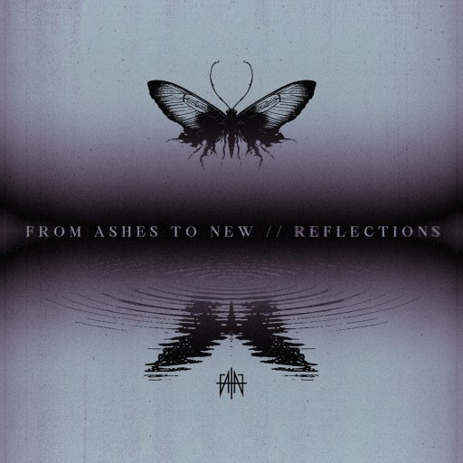 Reflections