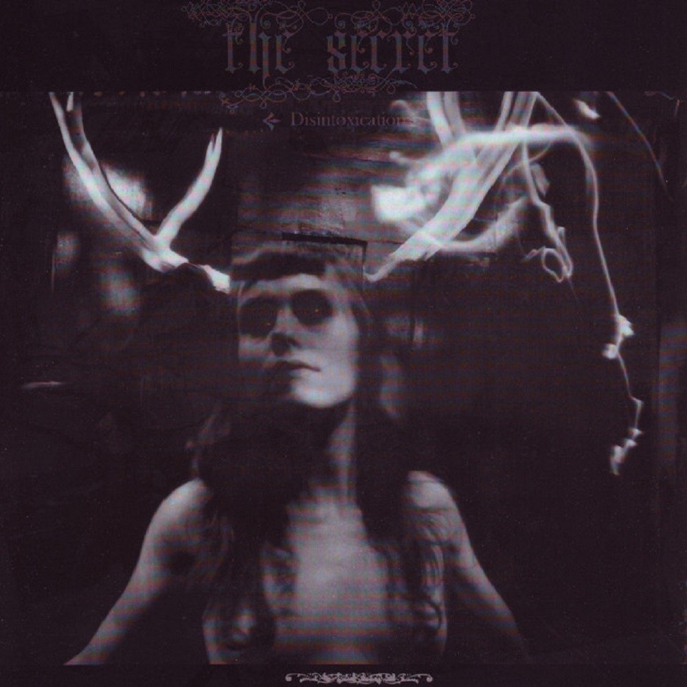 Secret, The - Disintoxication (2008) Cover