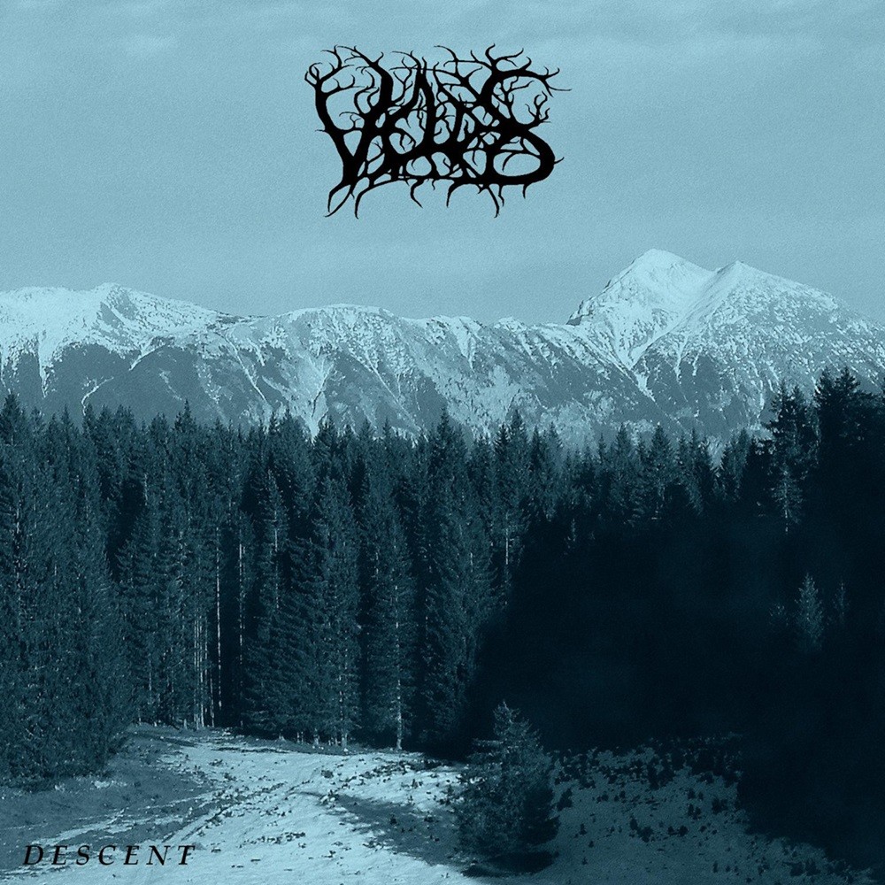 Veldes - Descent (2015) Cover