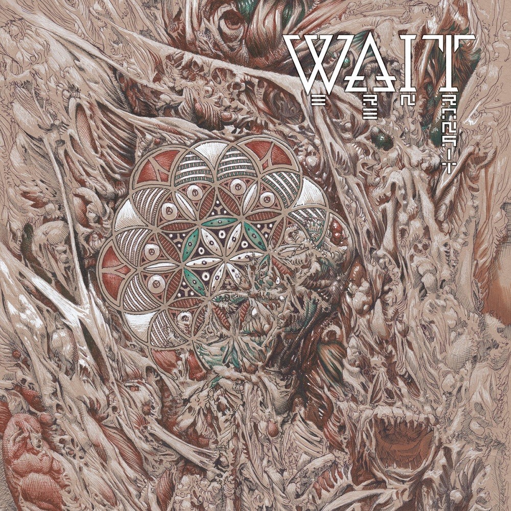 WAIT - We Are in Transit (2019) Cover