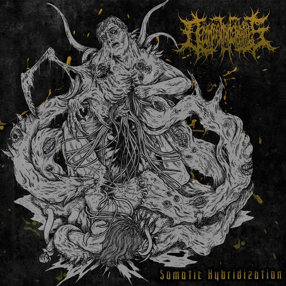 Decomposition of Entrails - Somatic Hybridization (2017) Cover