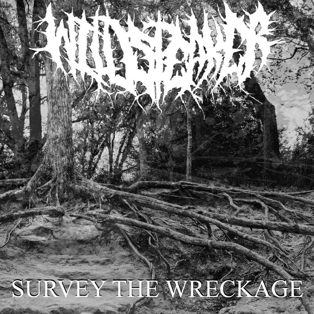 Wildspeaker - Survey the Wreckage