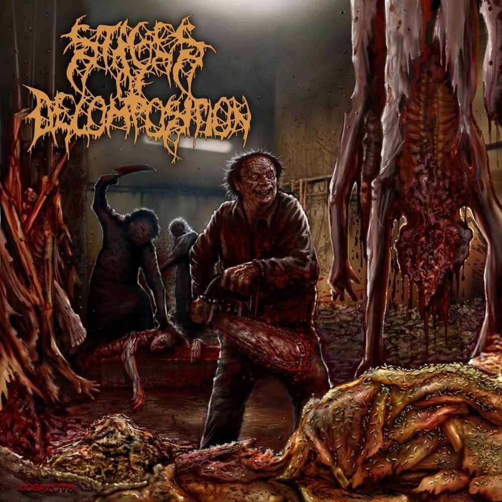 Stages of Decomposition - Piles of Rotting Flesh (2014) Cover