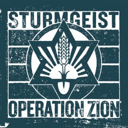 Operation Zion