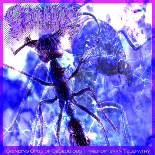 Grinding Opus of Obsequious Hymenopteran Telepathy