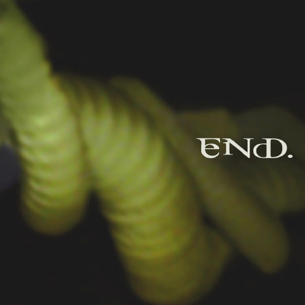 Eryn Non Dae. - The Never Ending Whirl of Confusion (2005) Cover