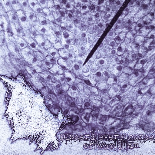 Discard Every Ounce of Who I Am