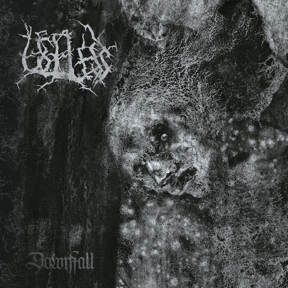 Useless - Downfall (2021) Cover