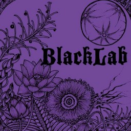 BlackLab