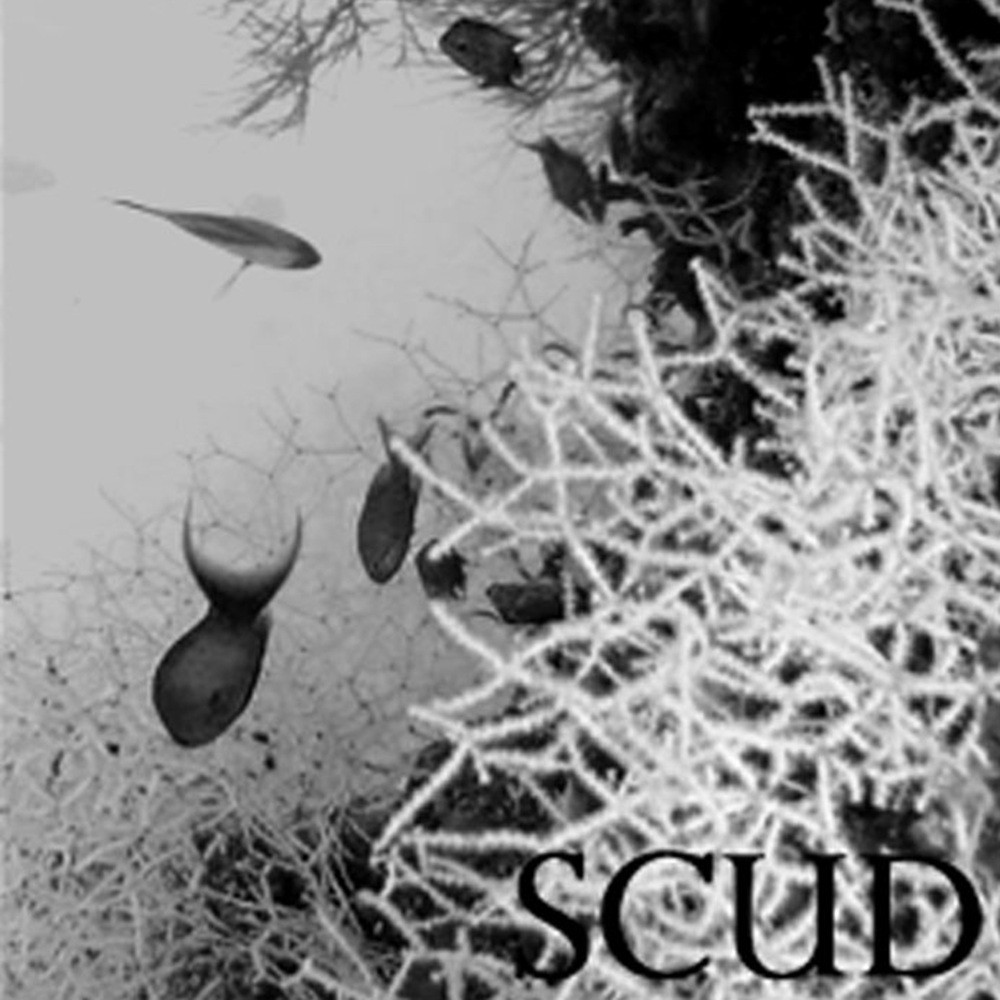 Crustacea Zoëa Larvae - SCUD (2008) Cover