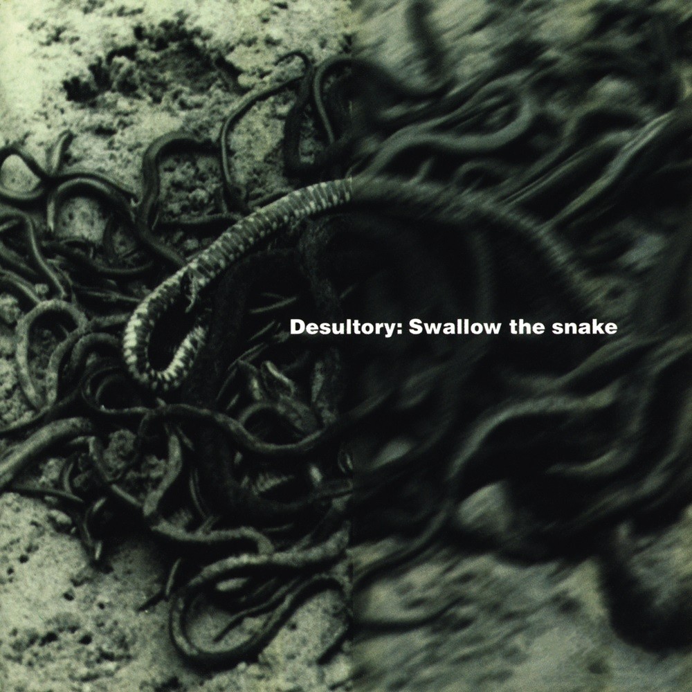 Desultory - Swallow the Snake (1996) Cover