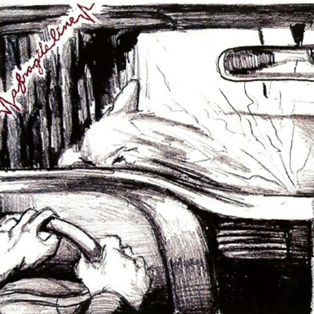 Fragile Line, A - Perspective of the World Through a Bird's Eye View (2005) Cover