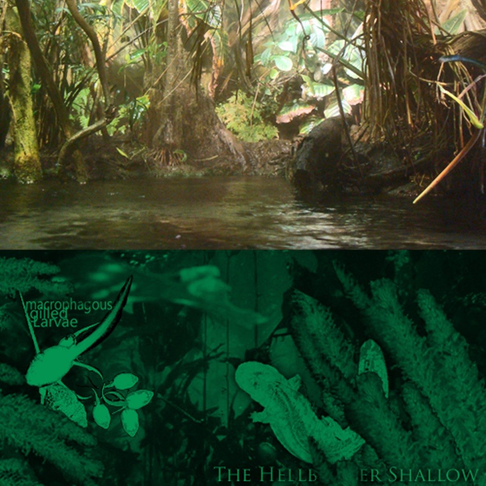 Macrophagous Gilled Larvae - The Hellbender Shallow (2011) Cover