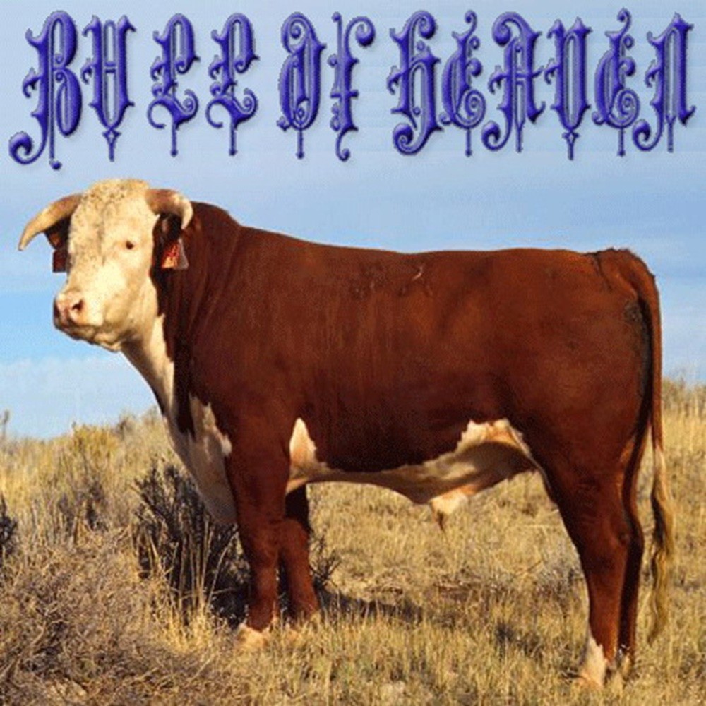 Bull of Heaven - 208: As You Etch on the Inner Window of Your Eye (2010) Cover