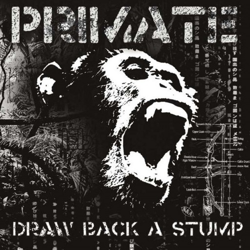 Draw Back a Stump