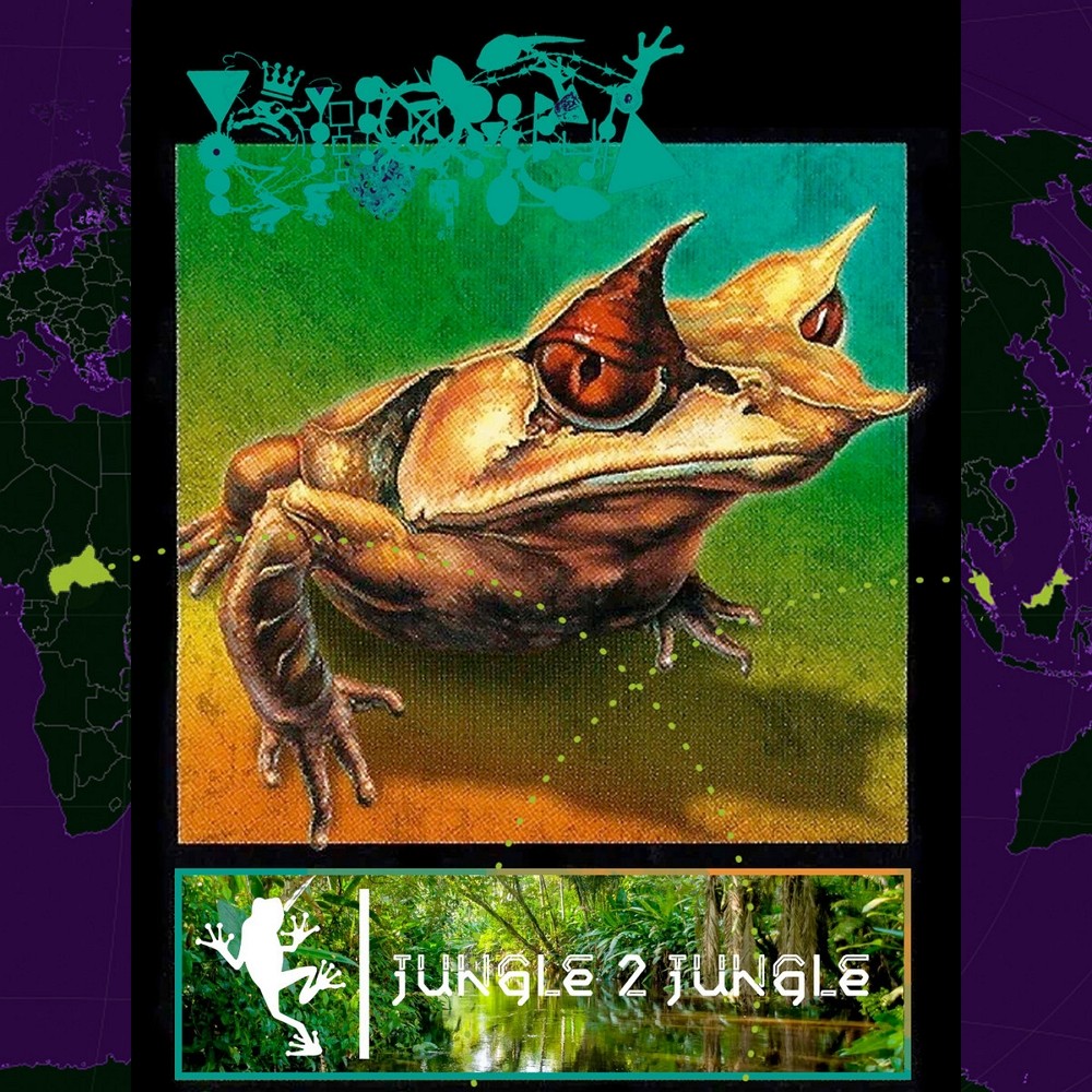 Phyllomedusa - Jungle 2 Jungle (2024) Cover