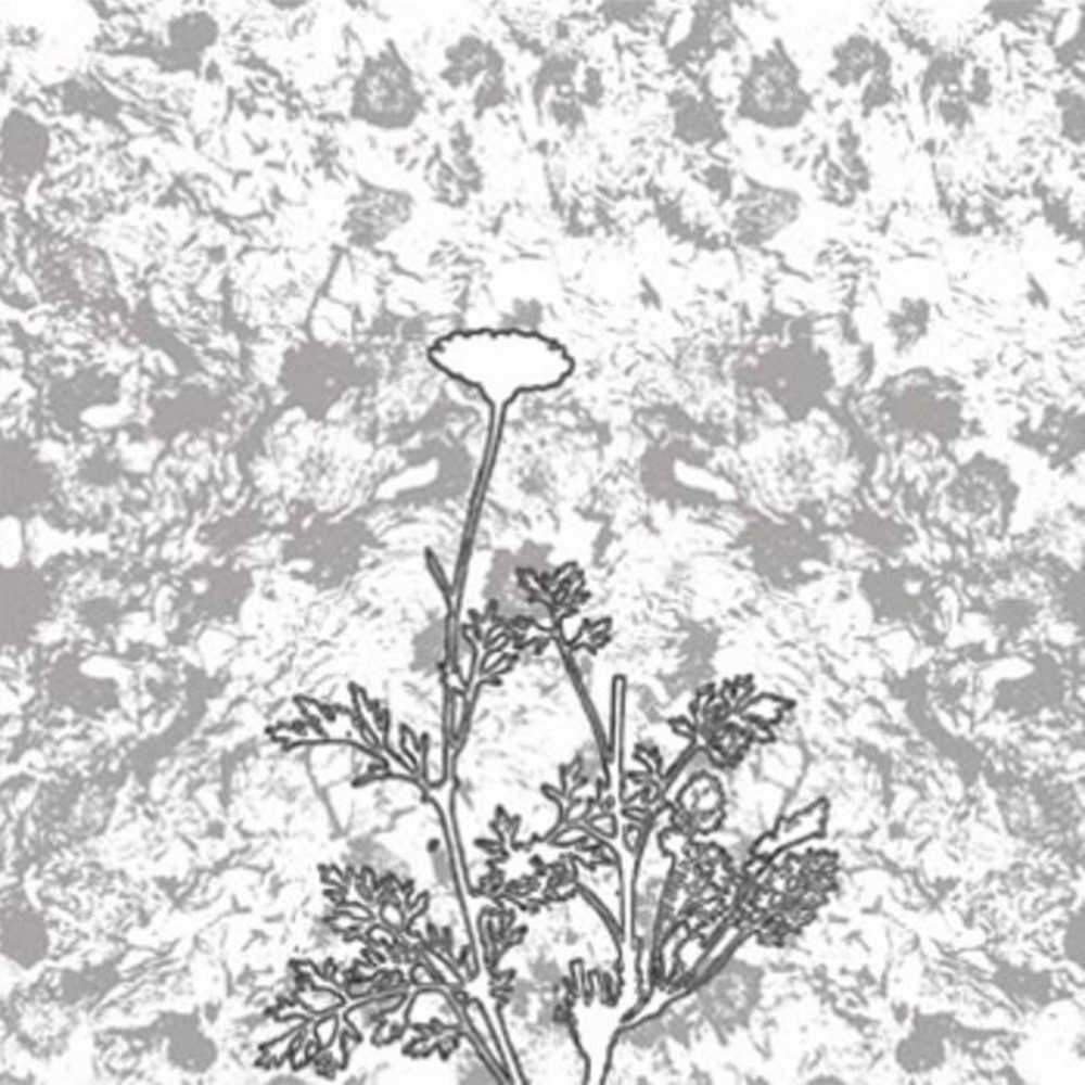 Titan (CAN) - The Chrysanthemum Pledge (2007) Cover