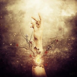Samsara