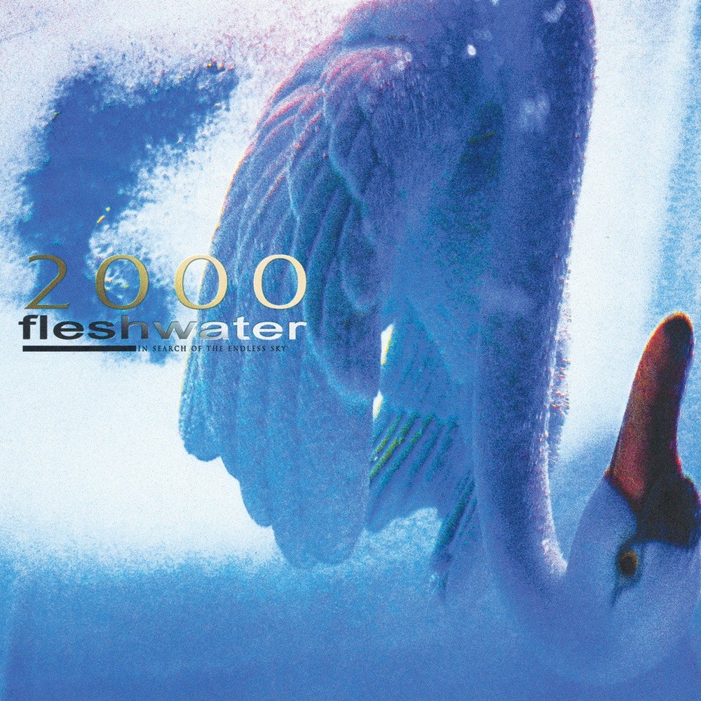 Fleshwater - 2000: In Search of the Endless Sky (2025) Cover