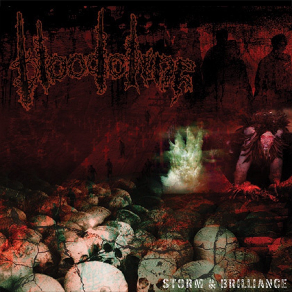 Bloodoline - Storm & Brilliance (2005) Cover