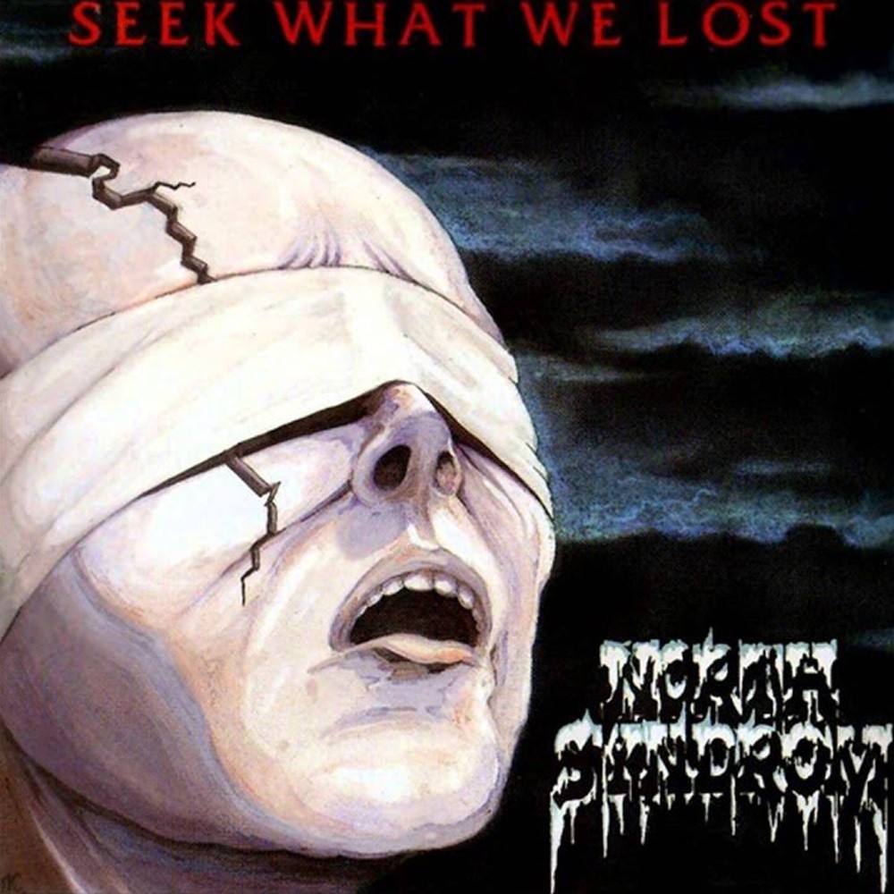 North Syndrom - Seek What We Lost