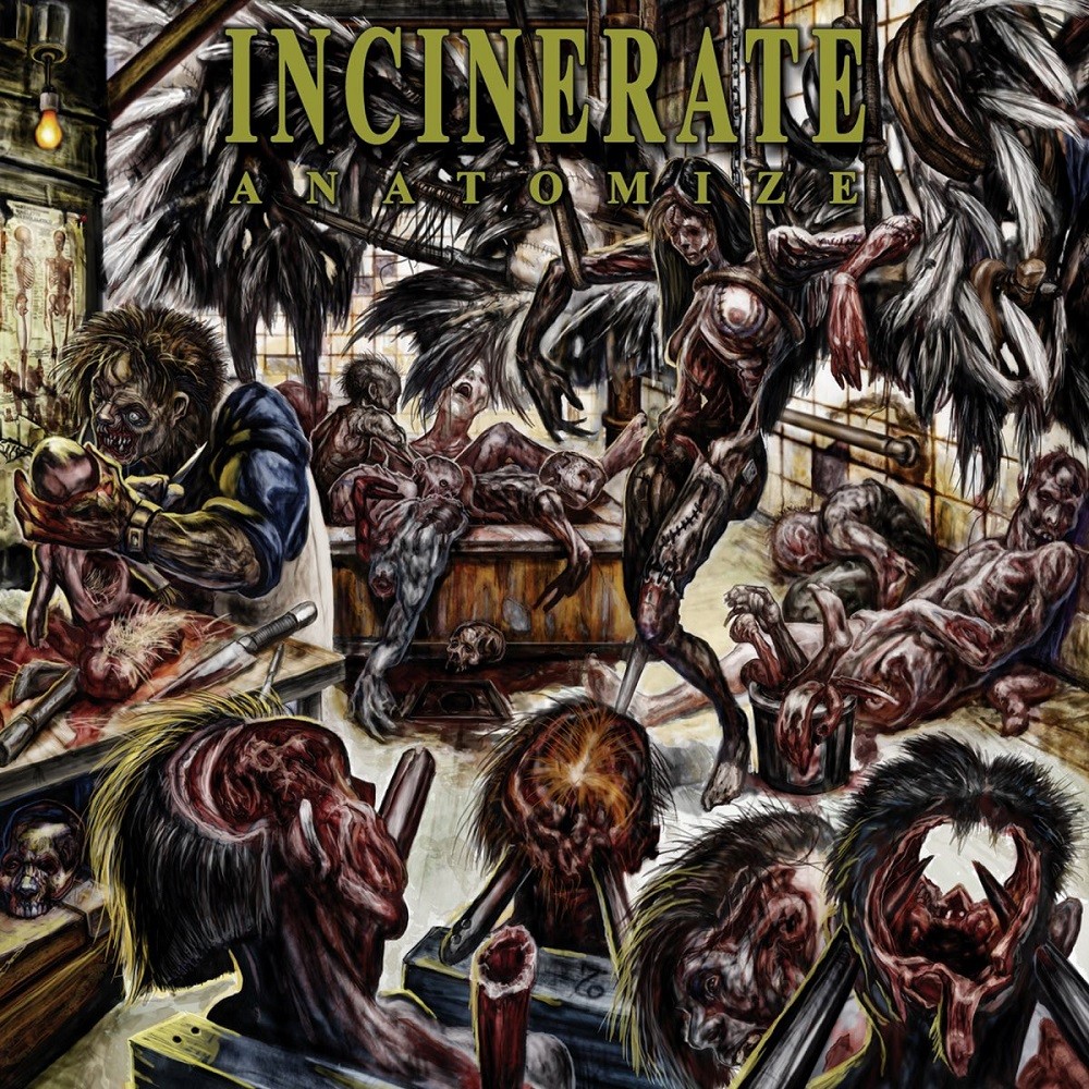 Incinerate - Anatomize (2008) Cover