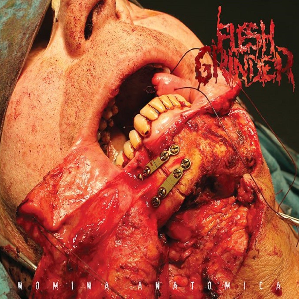 Flesh Grinder - Nomina Anatomica (2016) Cover