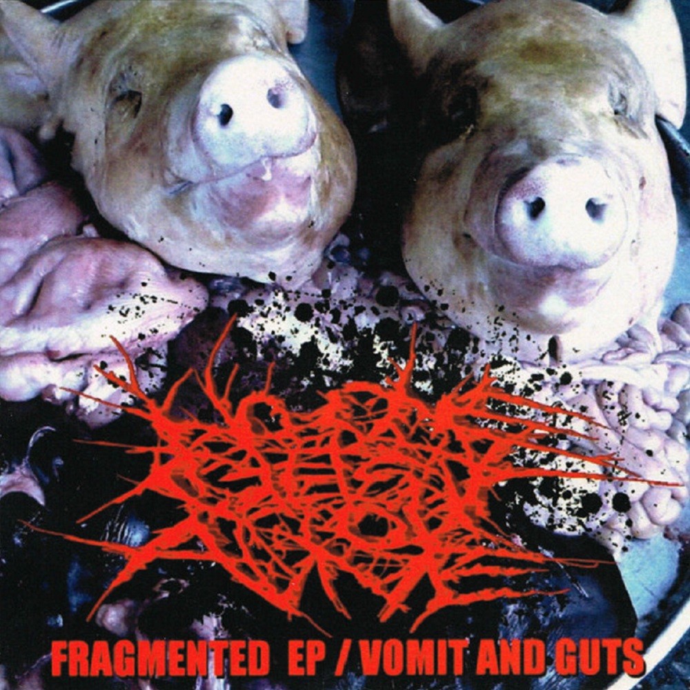 No One Gets Out Alive - Fragmented EP / Vomit and Guts (2009) Cover