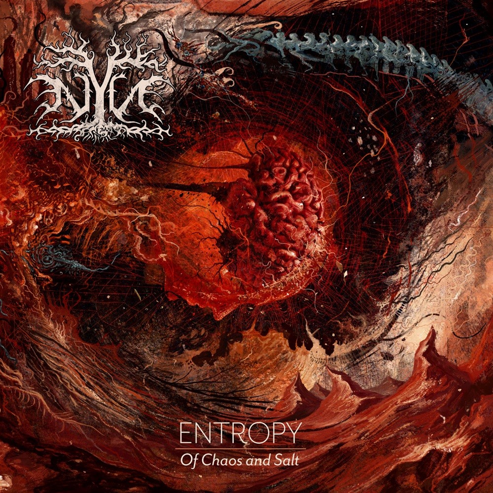 Nyn - Entropy: of Chaos and Salt (2017) Cover
