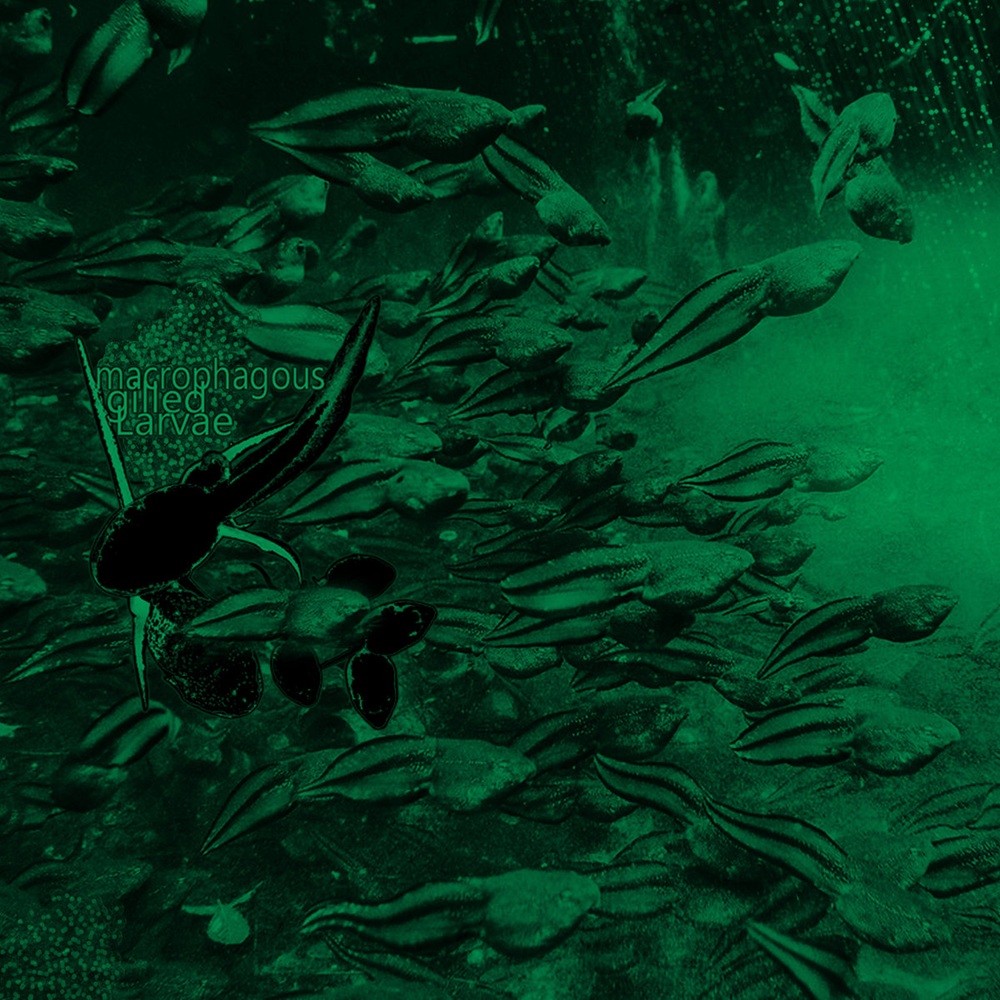 Macrophagous Gilled Larvae - Necropescatarian Snowfall Ebbing Atop the Warmest Waters in Which We Dwell (2024) Cover