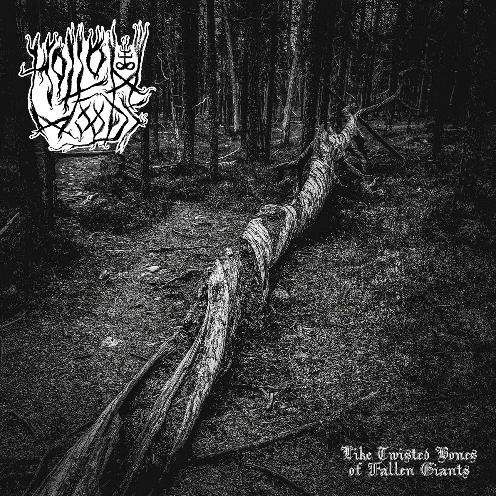 Hollow Woods - Like Twisted Bones of Fallen Giants (2024) Cover