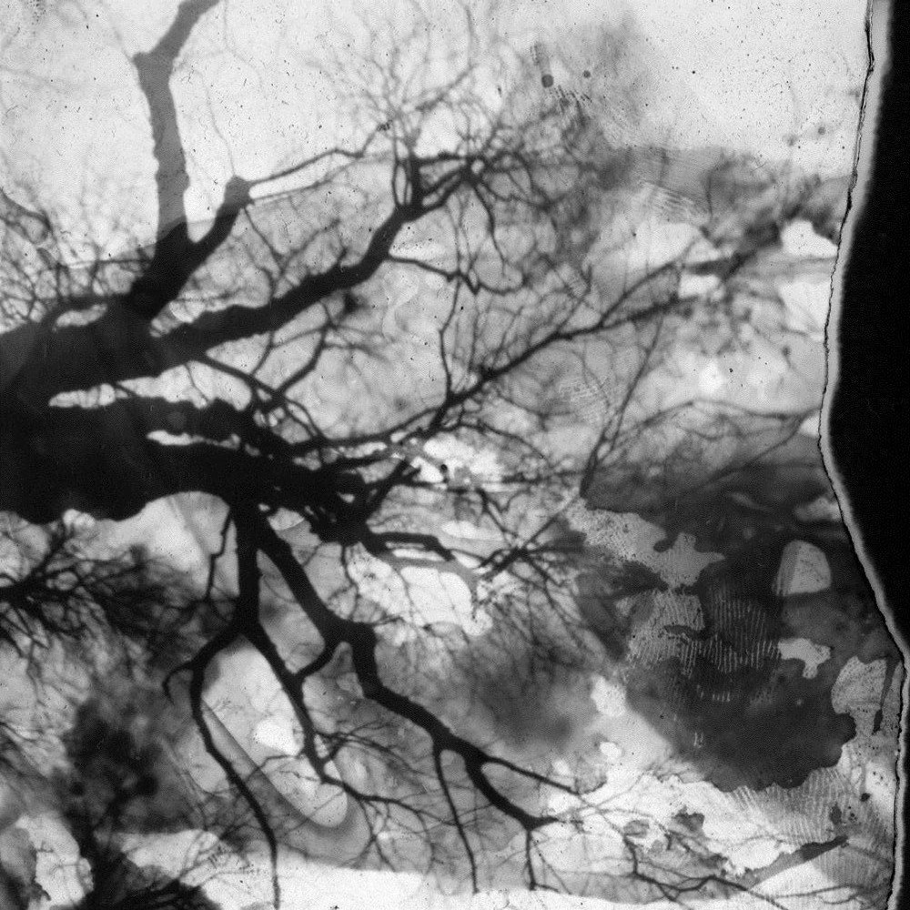 Miasme - Insight (2011) Cover