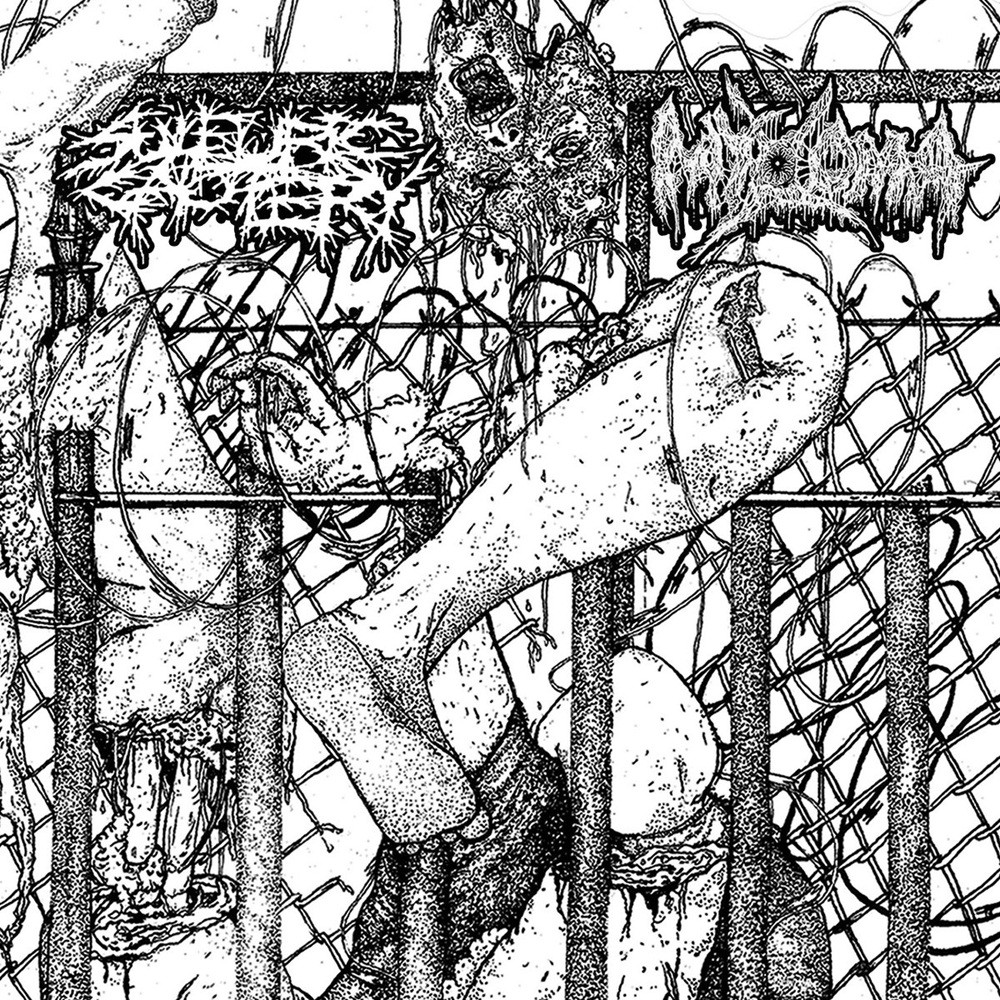Sulfuric Cautery / Myxoma - Sulfuric Cautery / Myxoma (2025) Cover