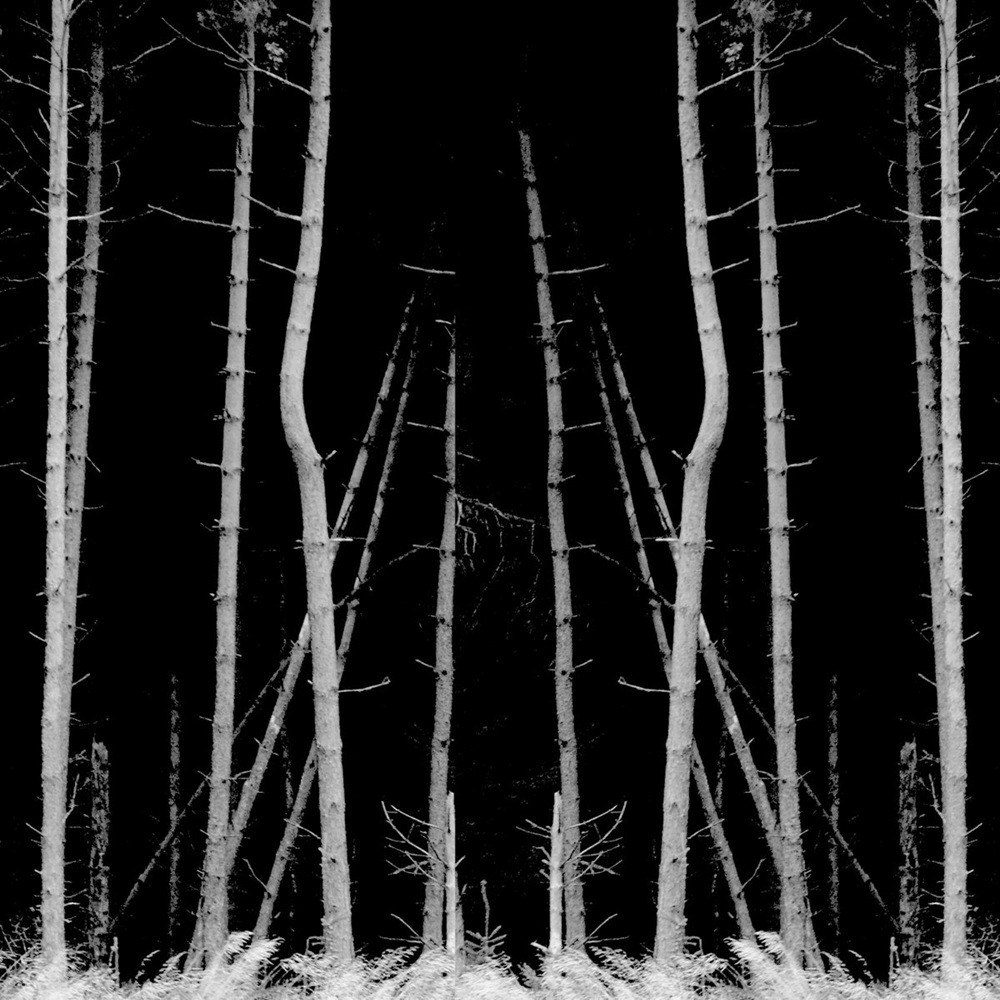 Water Witch, The - The Heavens in Traction (2012) Cover