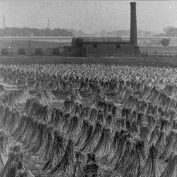 Het dorp / De zotte morgen