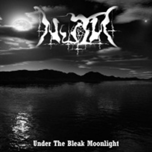 Under the Bleak Moonlight