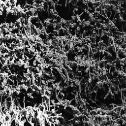 Taurunovem - Th’Astraktyan Serfdome