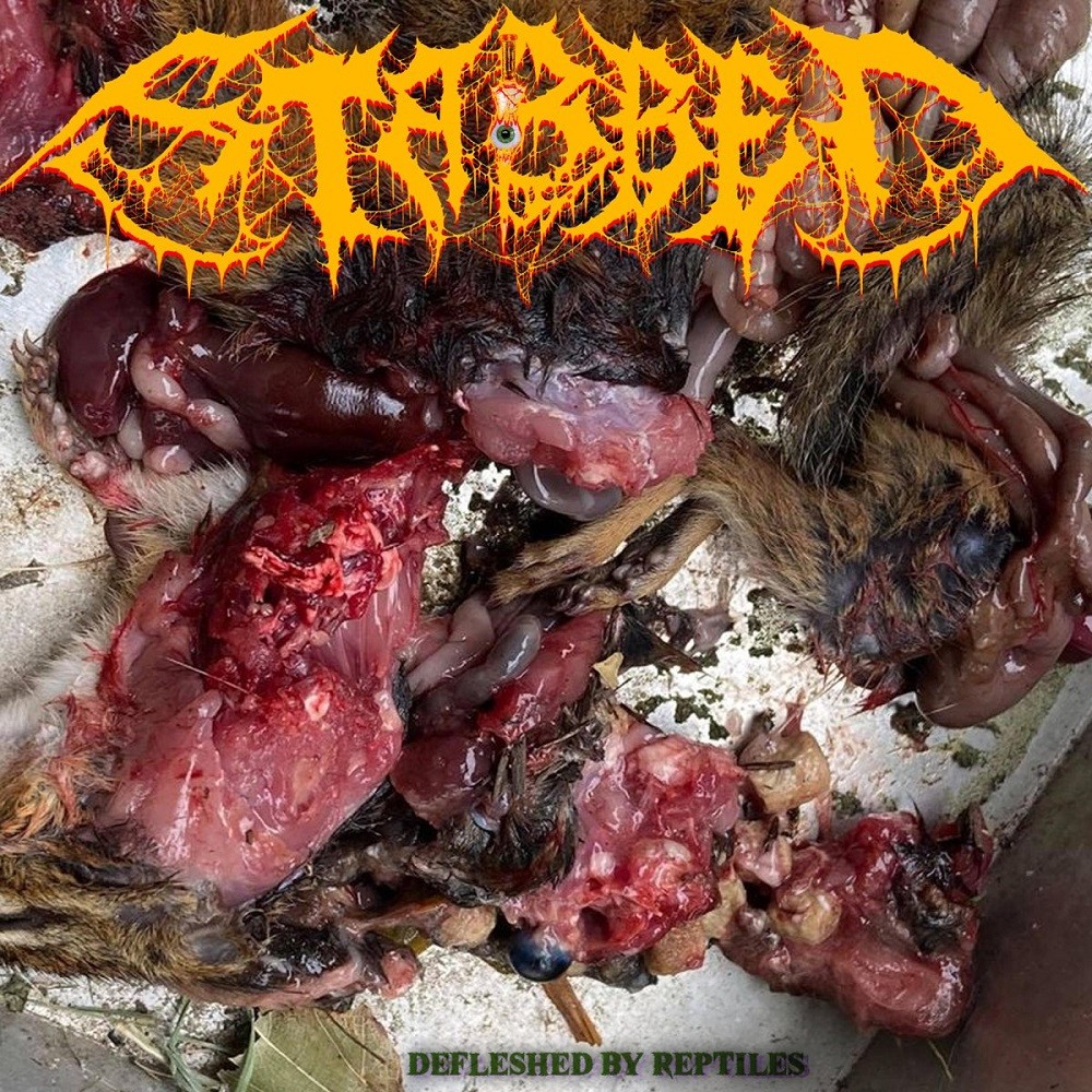 Stabbed - Defleshed by Reptiles (2020) Cover