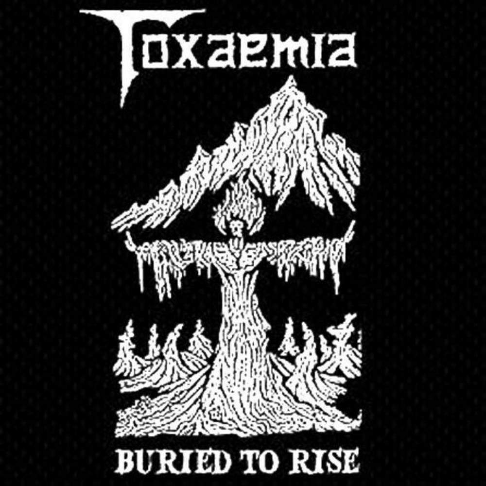 Toxaemia - Buried to Rise: 1990-1991 Discography (2010) Cover