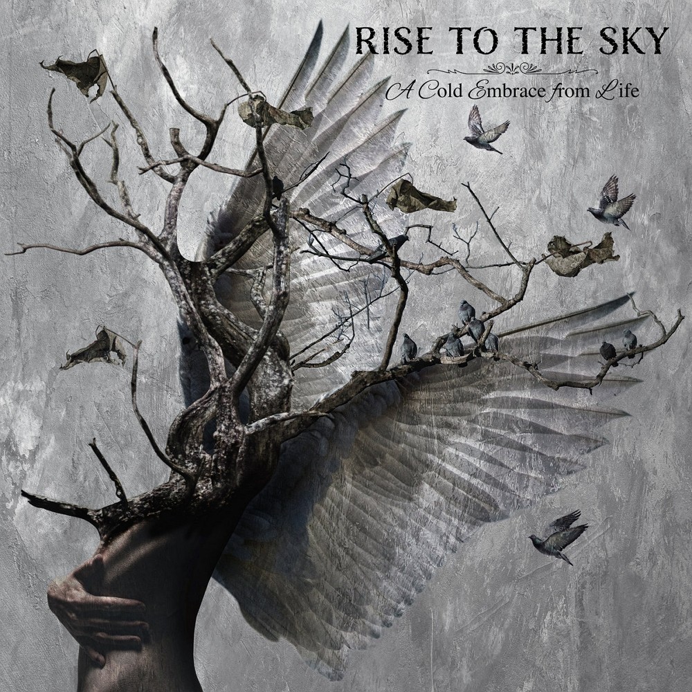 Rise to the Sky - A Cold Embrace from Life (2020) Cover
