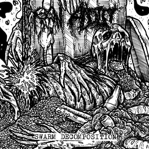 Swarm Decomposition
