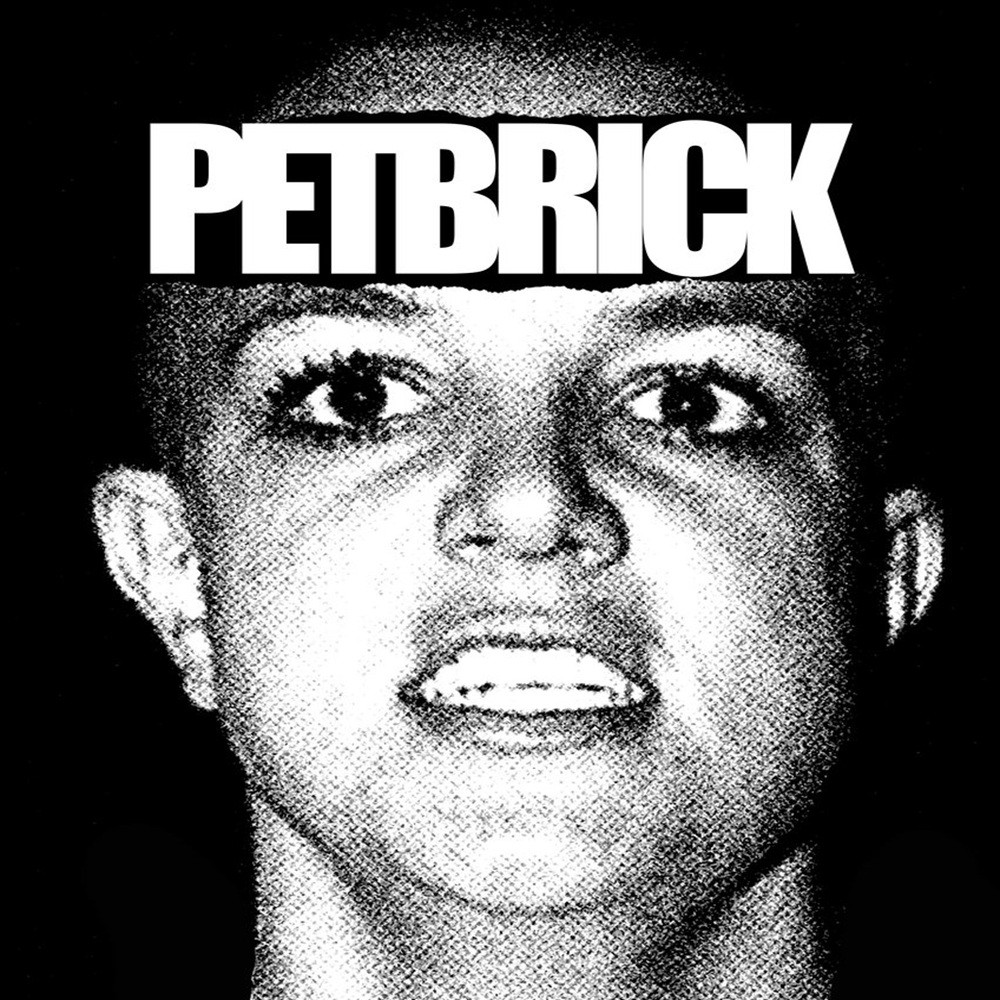 Petbrick - Pet Brick