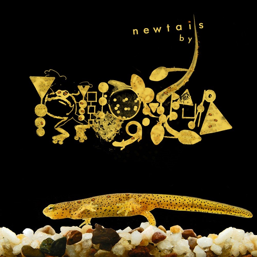 Phyllomedusa - Newtails (2013) Cover