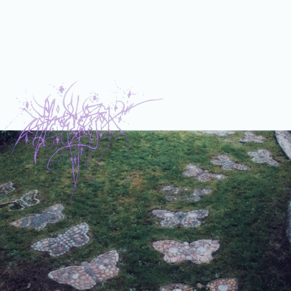 Coffret de Bijoux - i look up, intertwined (2025) Cover