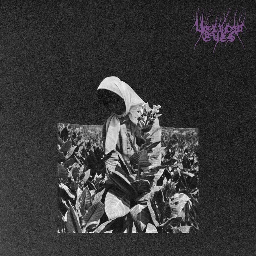 Yellow Eyes - Master's Murmur (2023) Cover