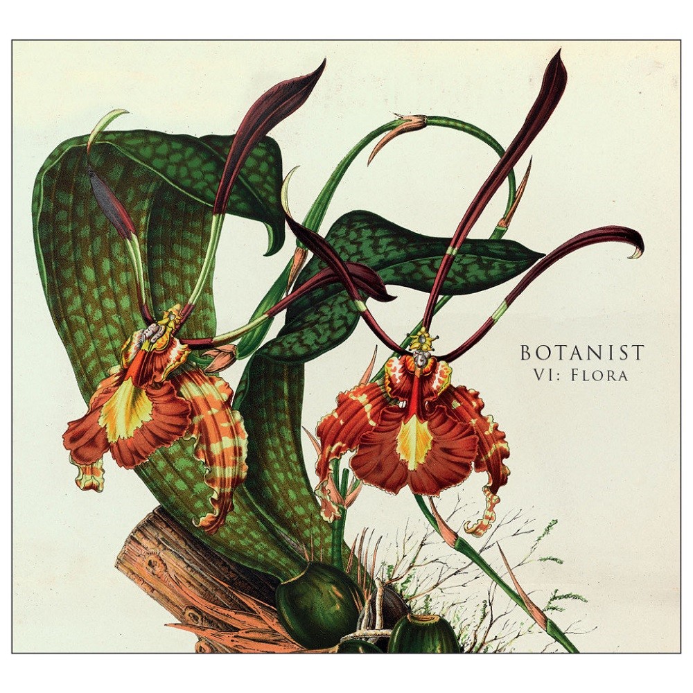 Botanist - VI: Flora (2014) Cover