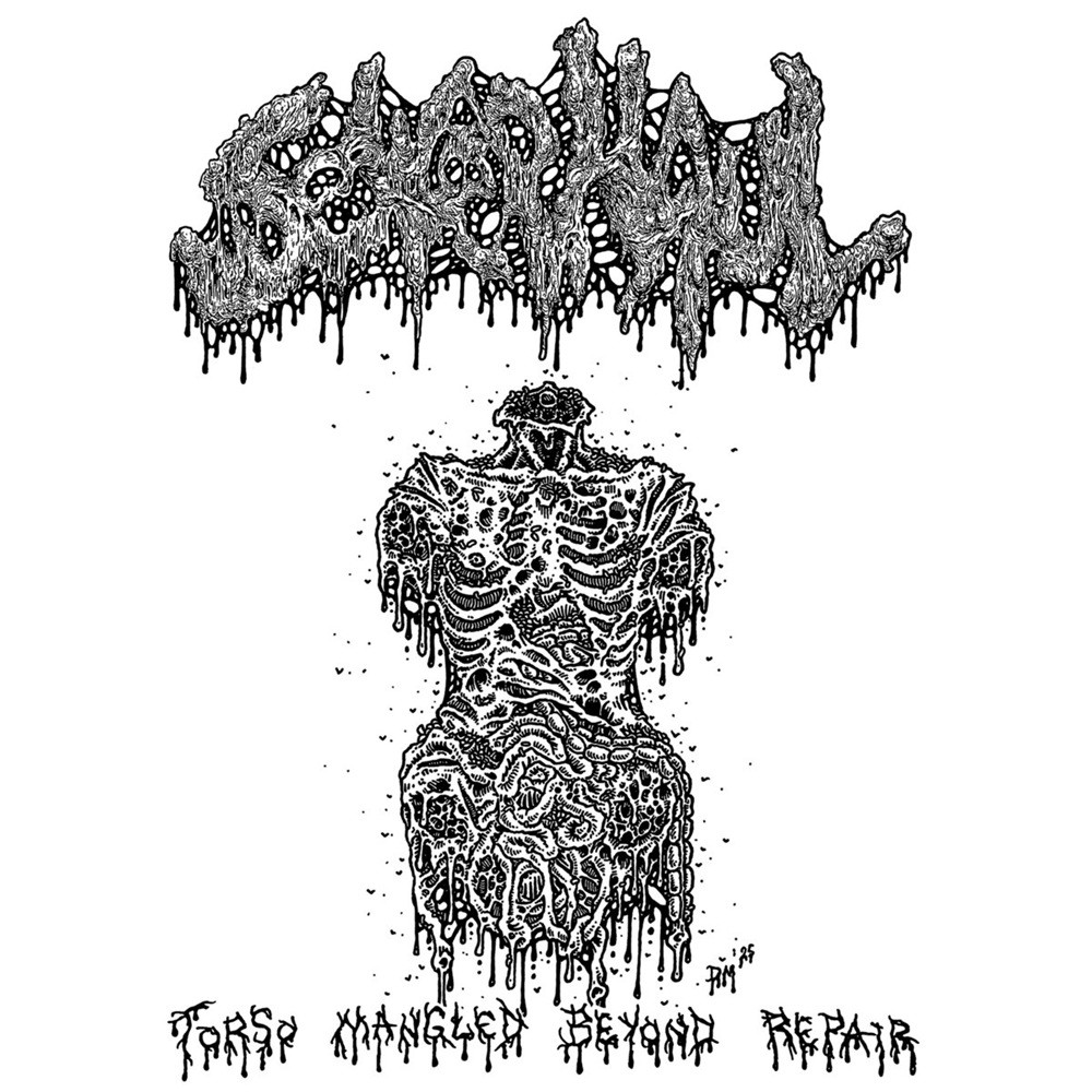 Sewer Haul - Torso Mangled Beyond Repair (2025) Cover