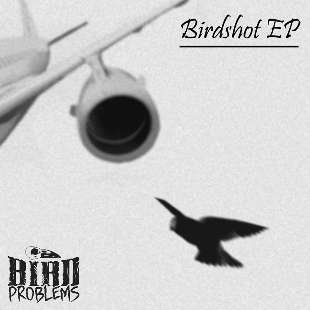 Bird Problems - Birdshot EP (2015) Cover