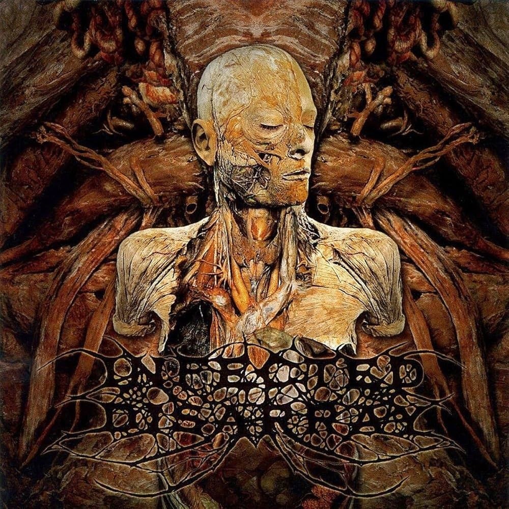 Infected Disarray - Disseminating Obscenity (2009) Cover