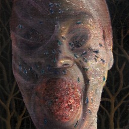 ...The Four Stages of Decomposition...